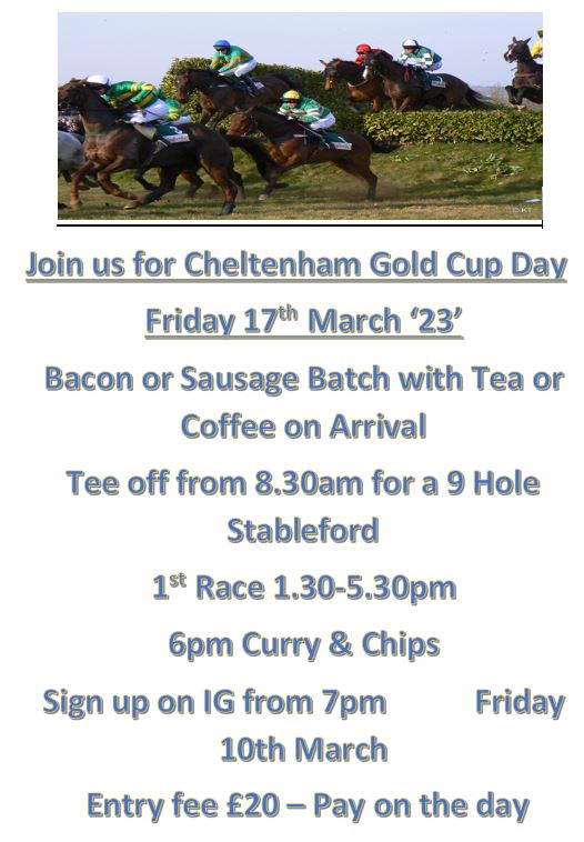 Poker Night and Cheltenham Gold Cup Day!